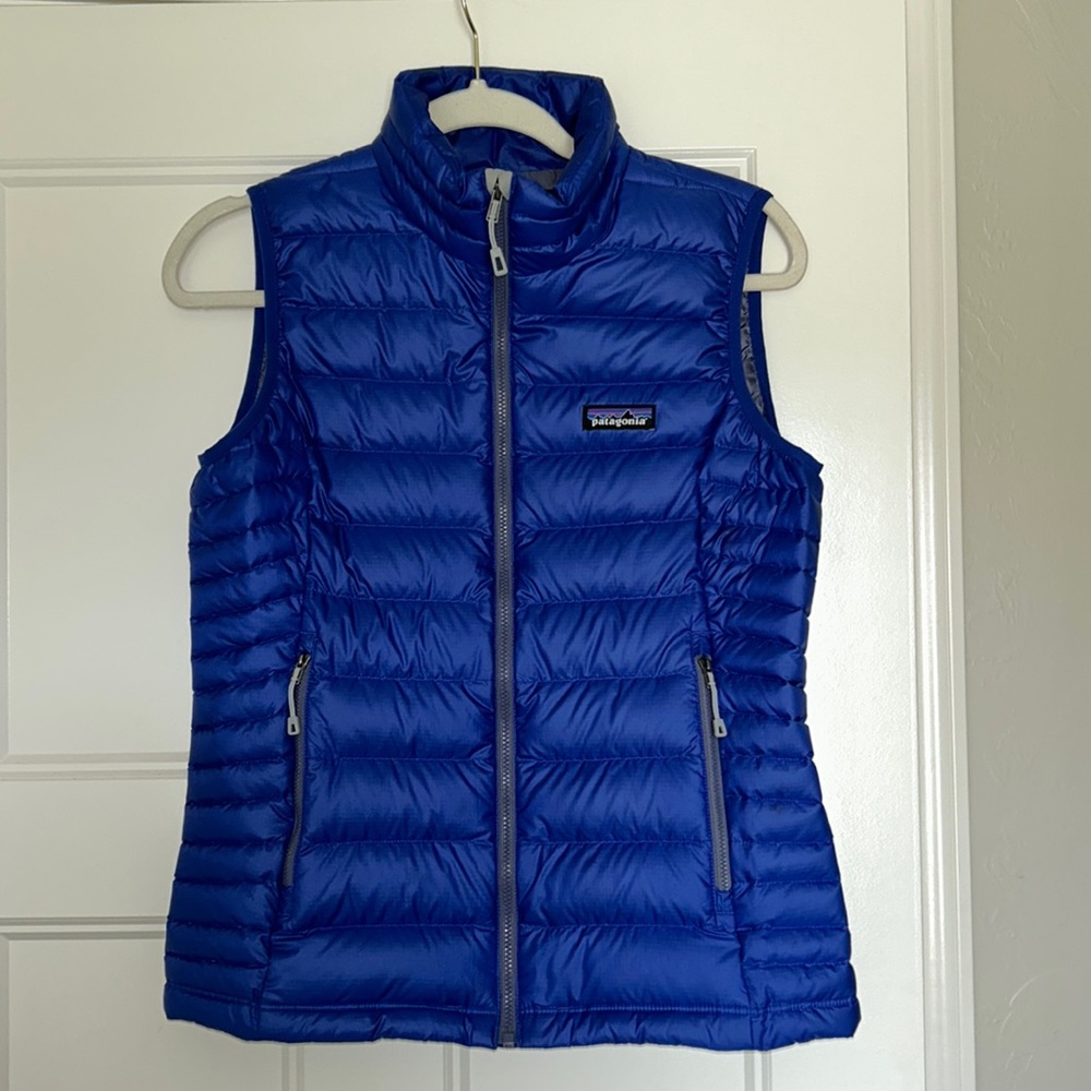 Patagonia Blue Vest